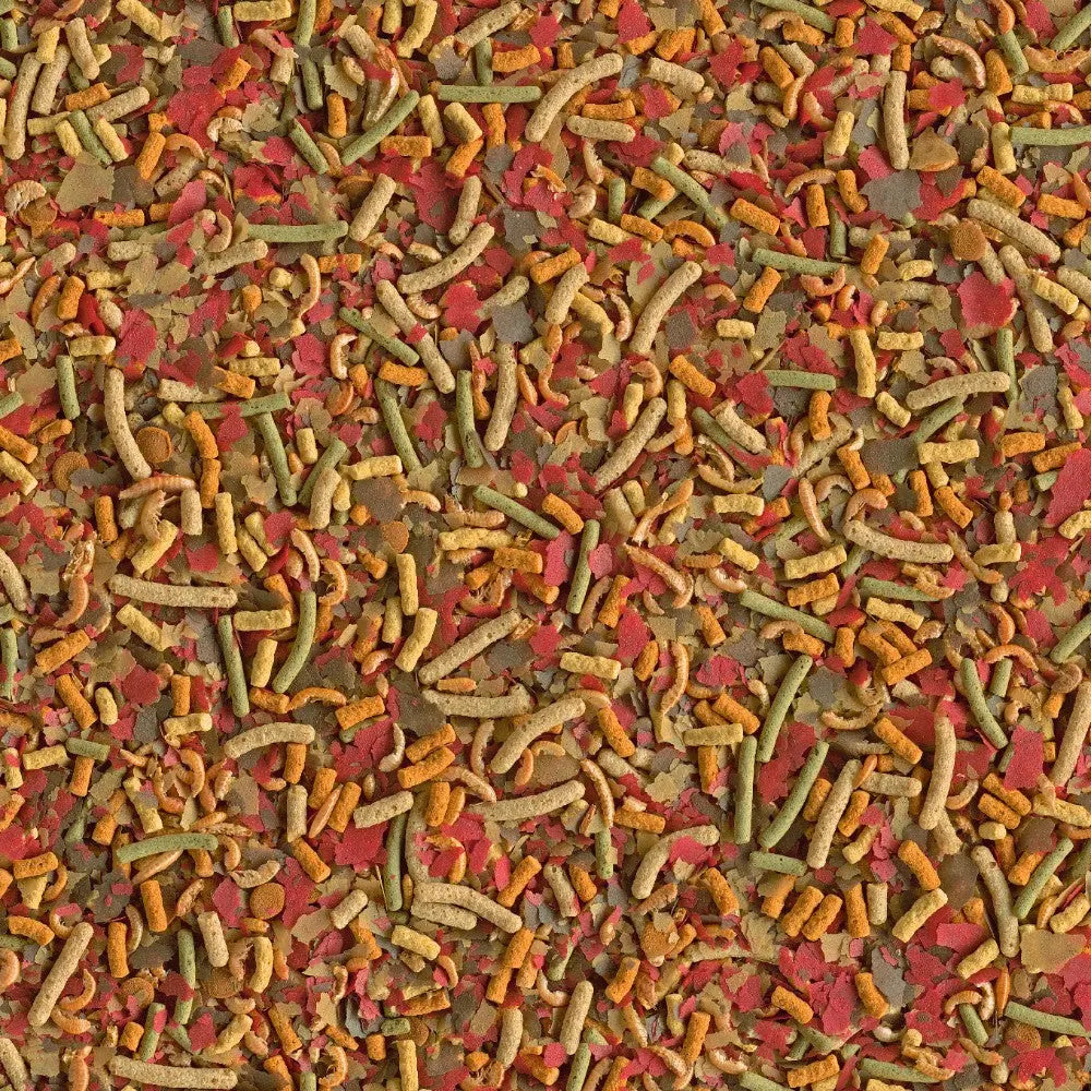 Colorful pet food mix with various shapes and textures, ideal for nutritious feeding.