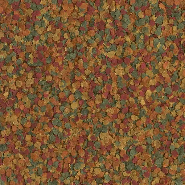 Colorful pet food kibble mix with various shapes and sizes for balanced nutrition.