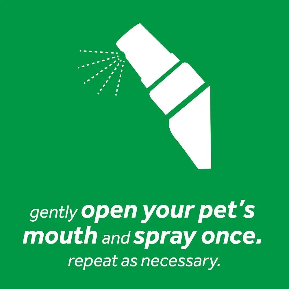 Pet mouth spray instructions with a graphic of a spray bottle on a green background.