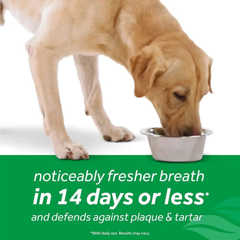 Dog eating from a bowl, promoting fresher breath in 14 days while fighting plaque and tartar.