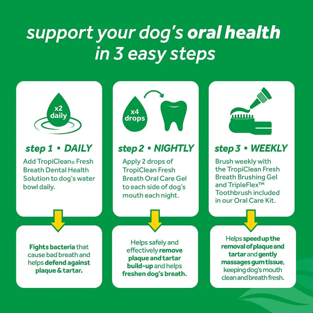Infographic detailing three steps for improving your dog's oral health with TropiClean products.