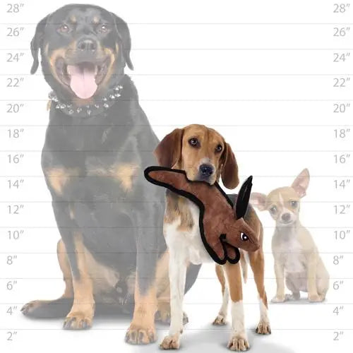 Three dogs of different breeds with a plush toy, showcasing size variations and playful interaction.