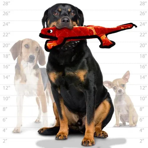 Rottweiler holding a plush toy with two smaller dogs in the background, showcasing pet playtime fun.