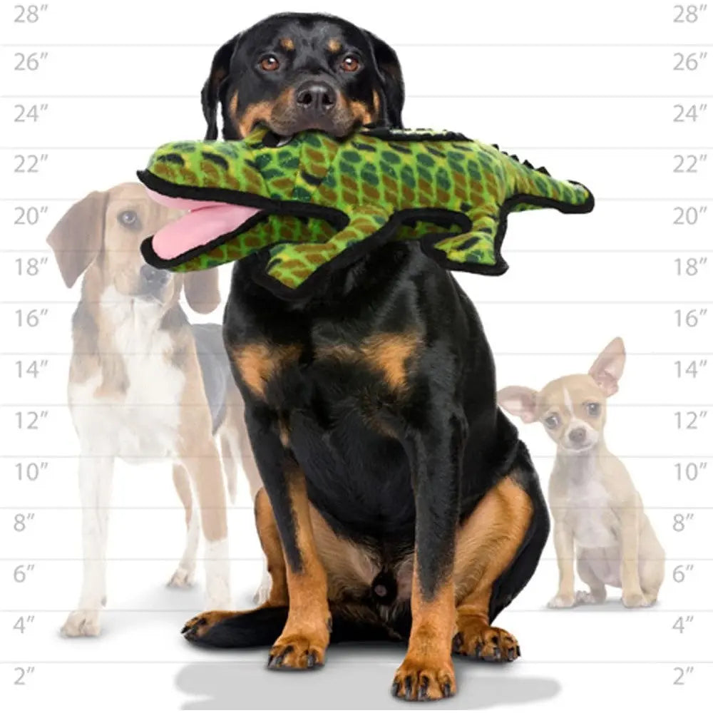 Rottweiler holding a plush alligator toy, surrounded by smaller dog breeds for size comparison.