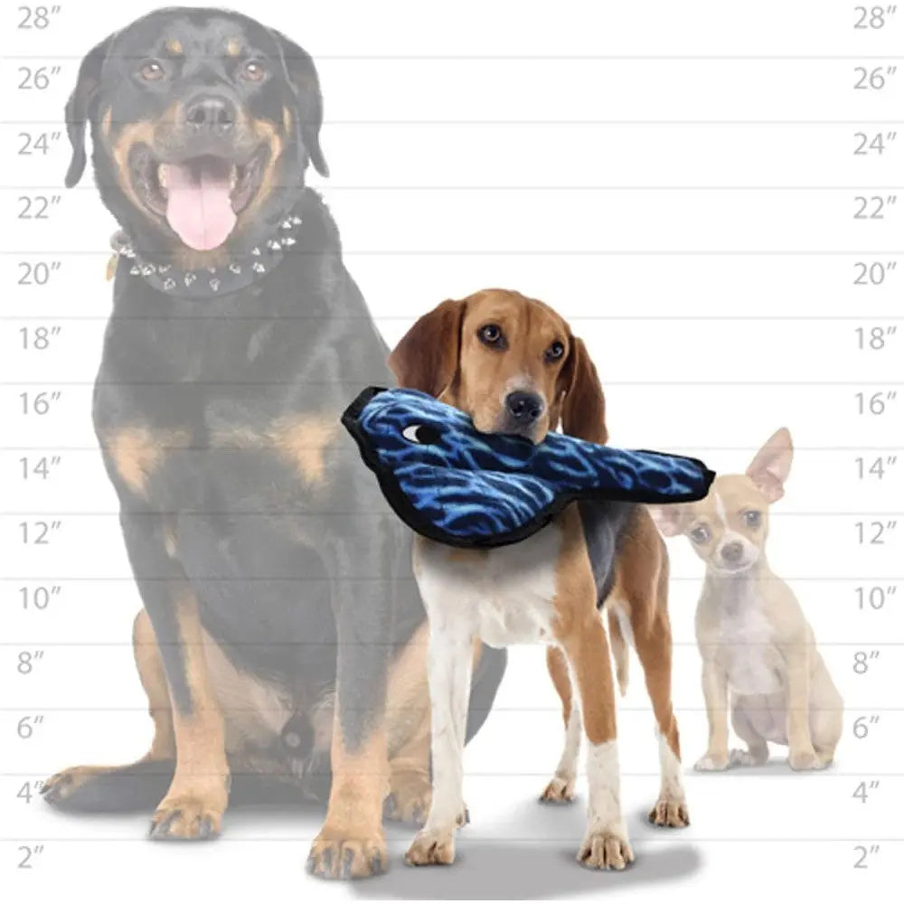 Three dogs of different sizes with a beagle holding a plush toy in front of a height chart.