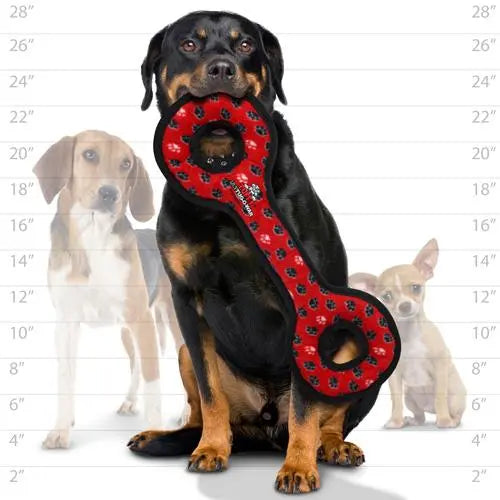 Rottweiler holding a durable red dog toy, showcasing size comparison with smaller breeds.