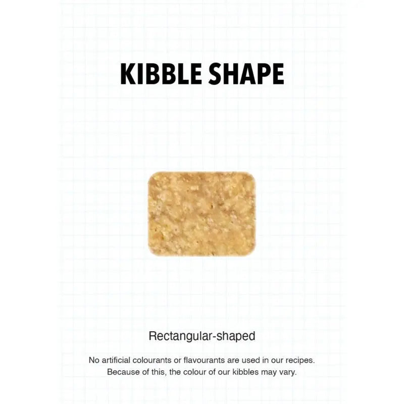 Rectangular-shaped kibble showcasing natural ingredients without artificial additives.