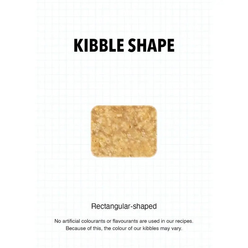 Rectangular-shaped kibble showcasing natural ingredients without artificial colors or flavors.