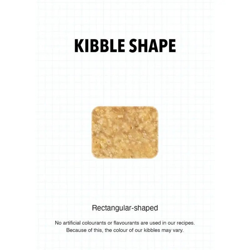 Rectangular-shaped kibble showcasing natural ingredients without artificial colors or flavors.