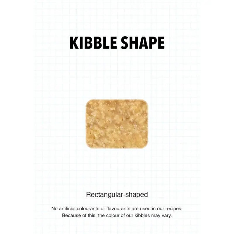 Rectangular-shaped kibble showcasing natural ingredients without artificial colors or flavors.