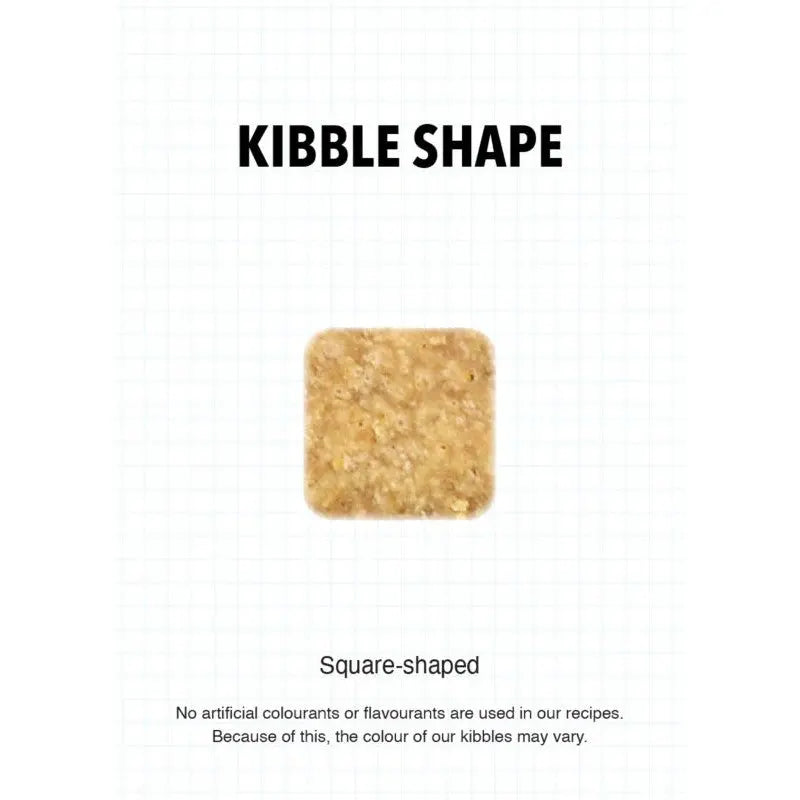 Square-shaped kibble showcasing natural ingredients without artificial colors or flavors.