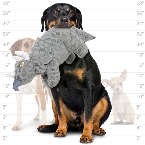 Mighty Dinosaur - Triceratops Dog Toys - product detail image shop in South Africa