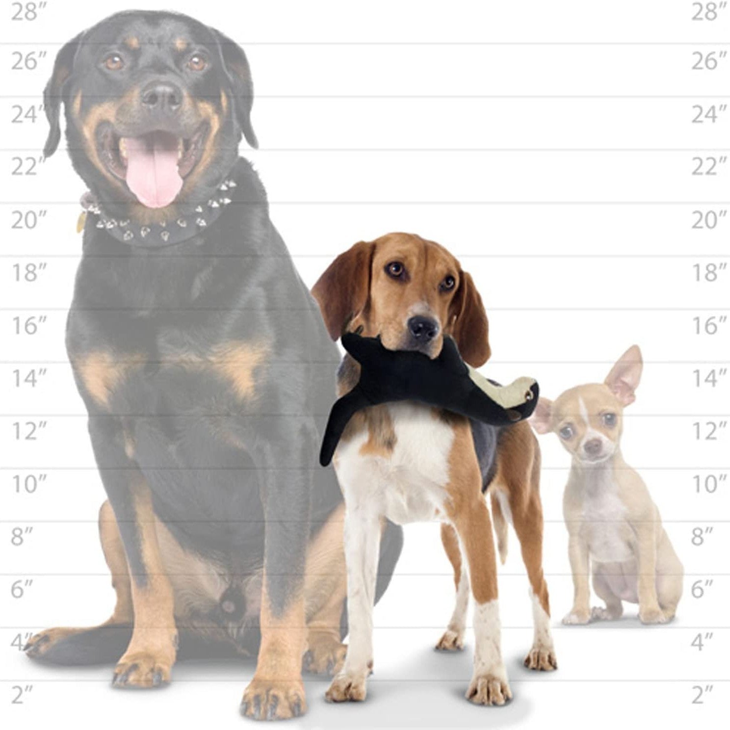 Mighty Safari Meerkat Dog Toys - product detail image buy online South Africa