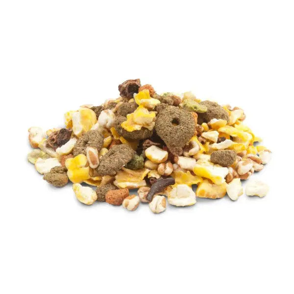 Nutritious pet food mix featuring kibble, grains, and dried fruits for a balanced diet.