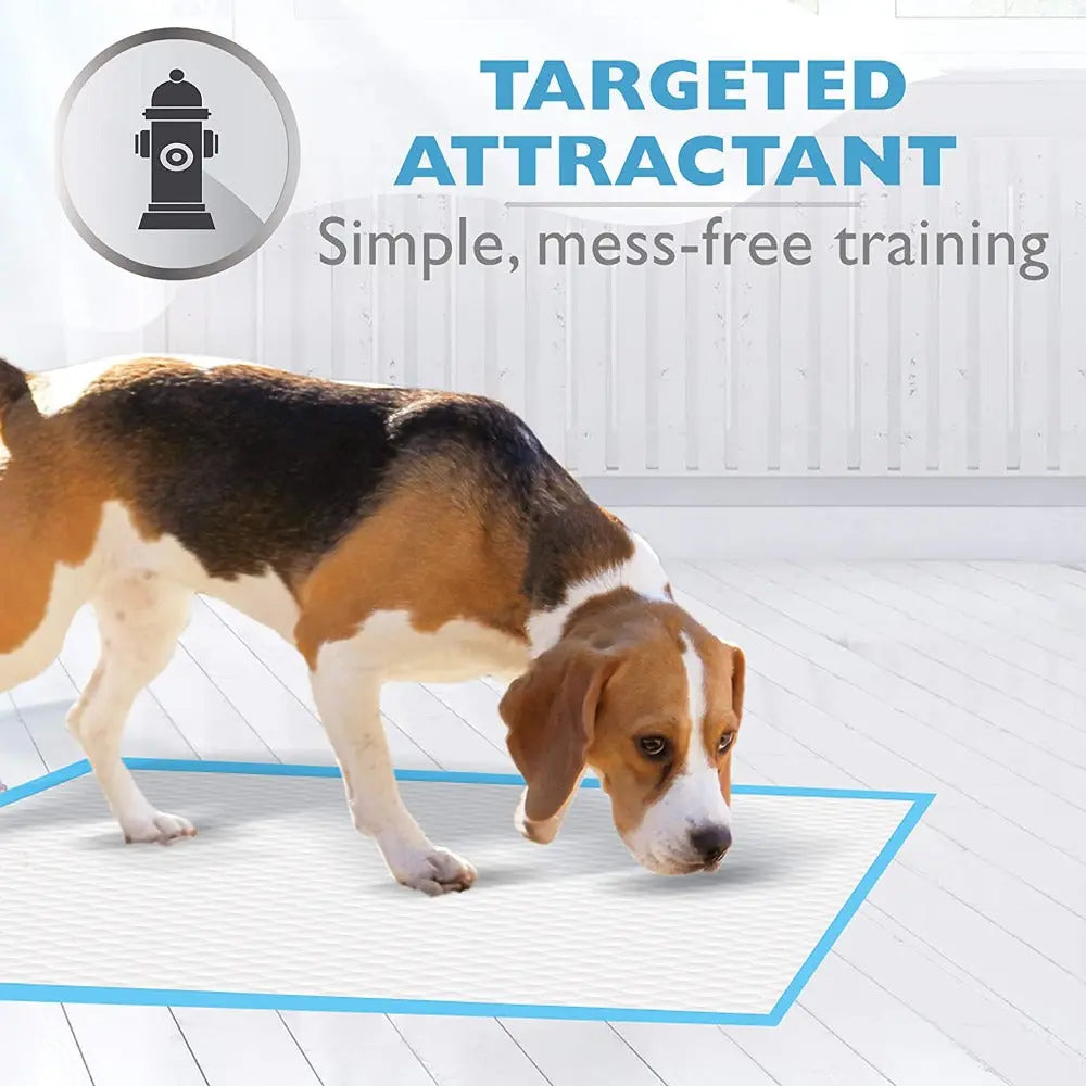 Dog training pad with targeted attractant for mess-free indoor training.