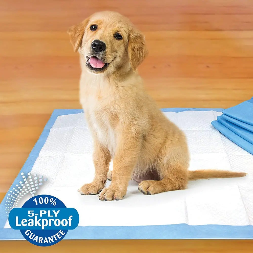 Golden retriever puppy sitting on a leakproof training pad for easy cleanup and pet care.