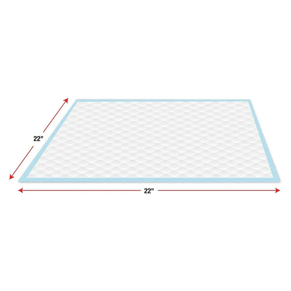 Pet training pad, 22x22 inches, absorbent surface for easy cleanup and odor control.