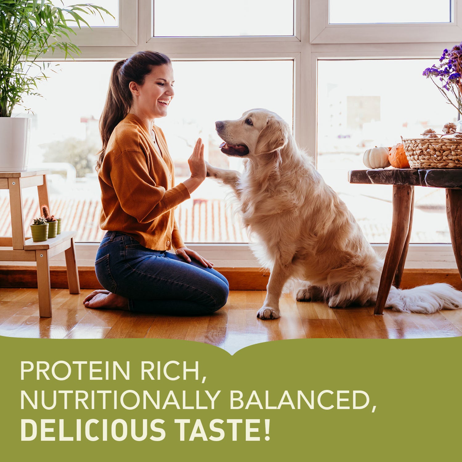 Acana Highest Protein Wild Prairie Recipe Dog Food – product detail image (SA)