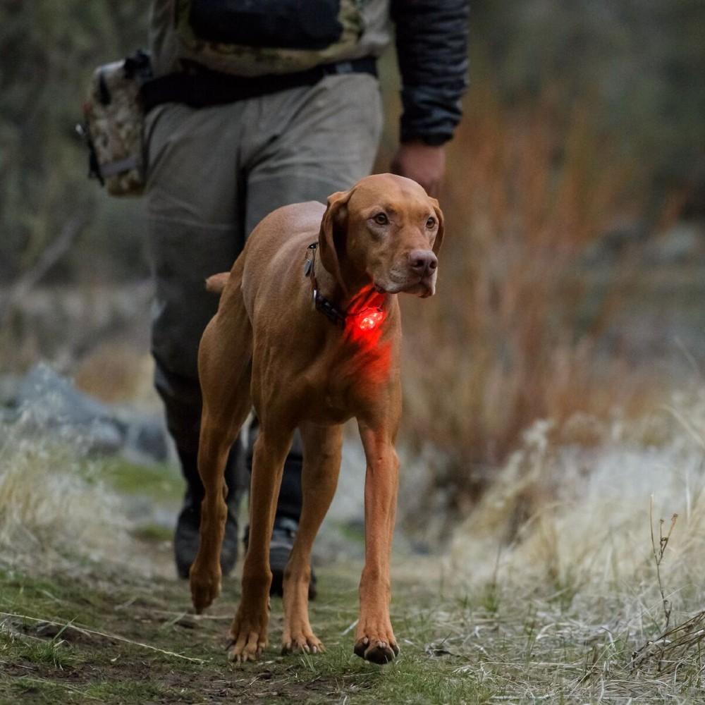 Ruffwear Beacon Safety Light