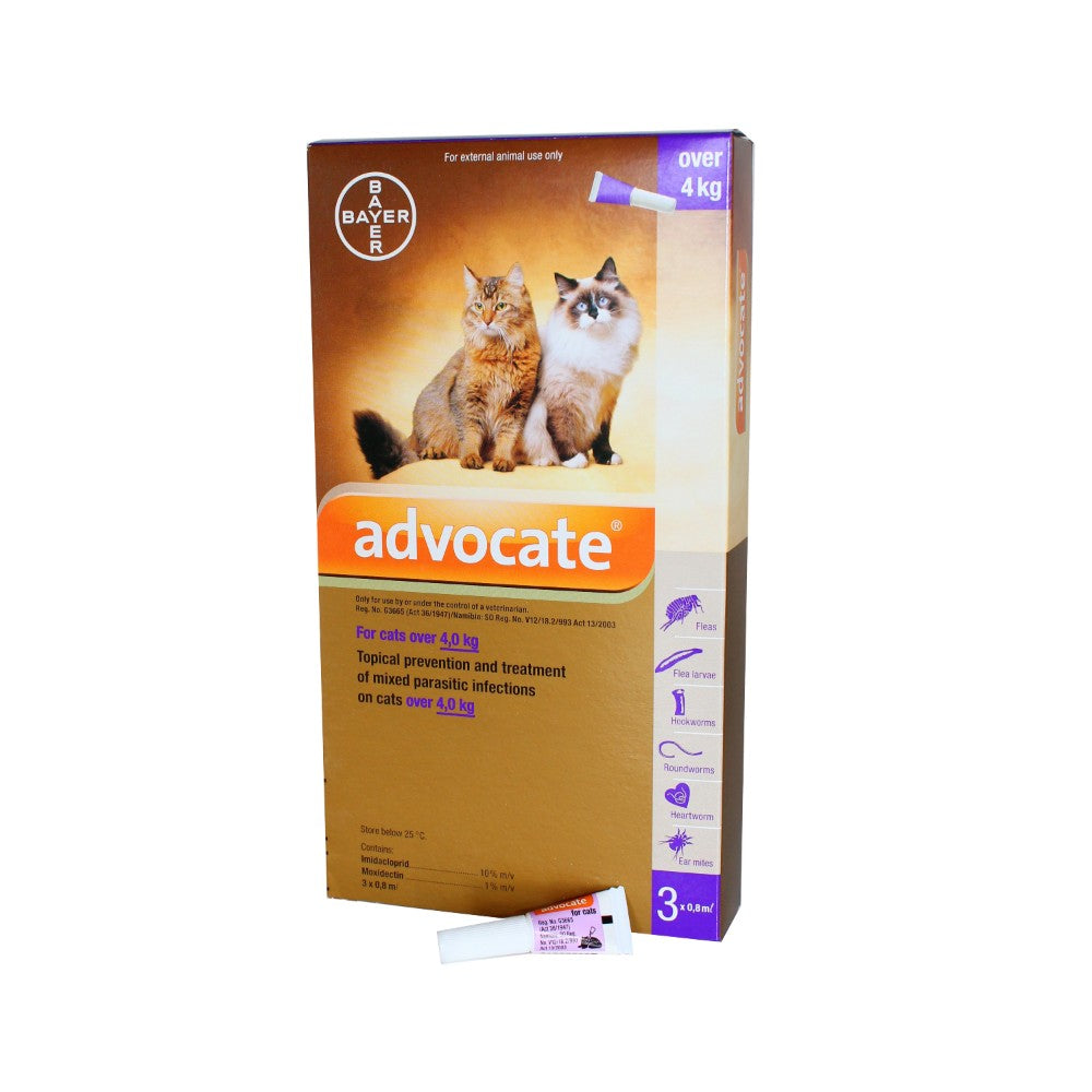 Flea treatment for cats advocate best sale