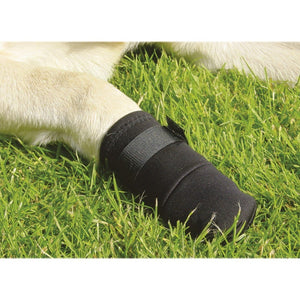Beeztees Protective Shoes for Dogs