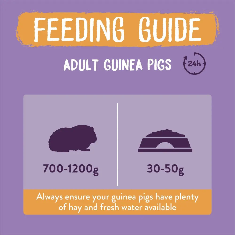 Burgess Excel Guinea Pig with Blackcurrant & Oregano