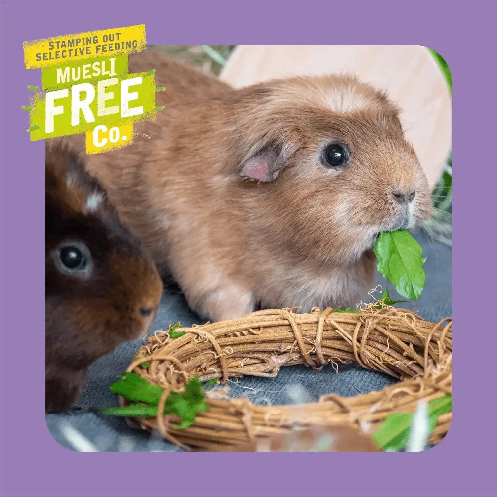 Burgess Excel Guinea Pig with Blackcurrant & Oregano