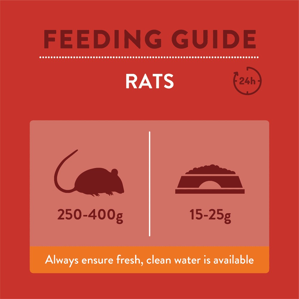 Burgess Excel Rat Nuggets Infographic 1