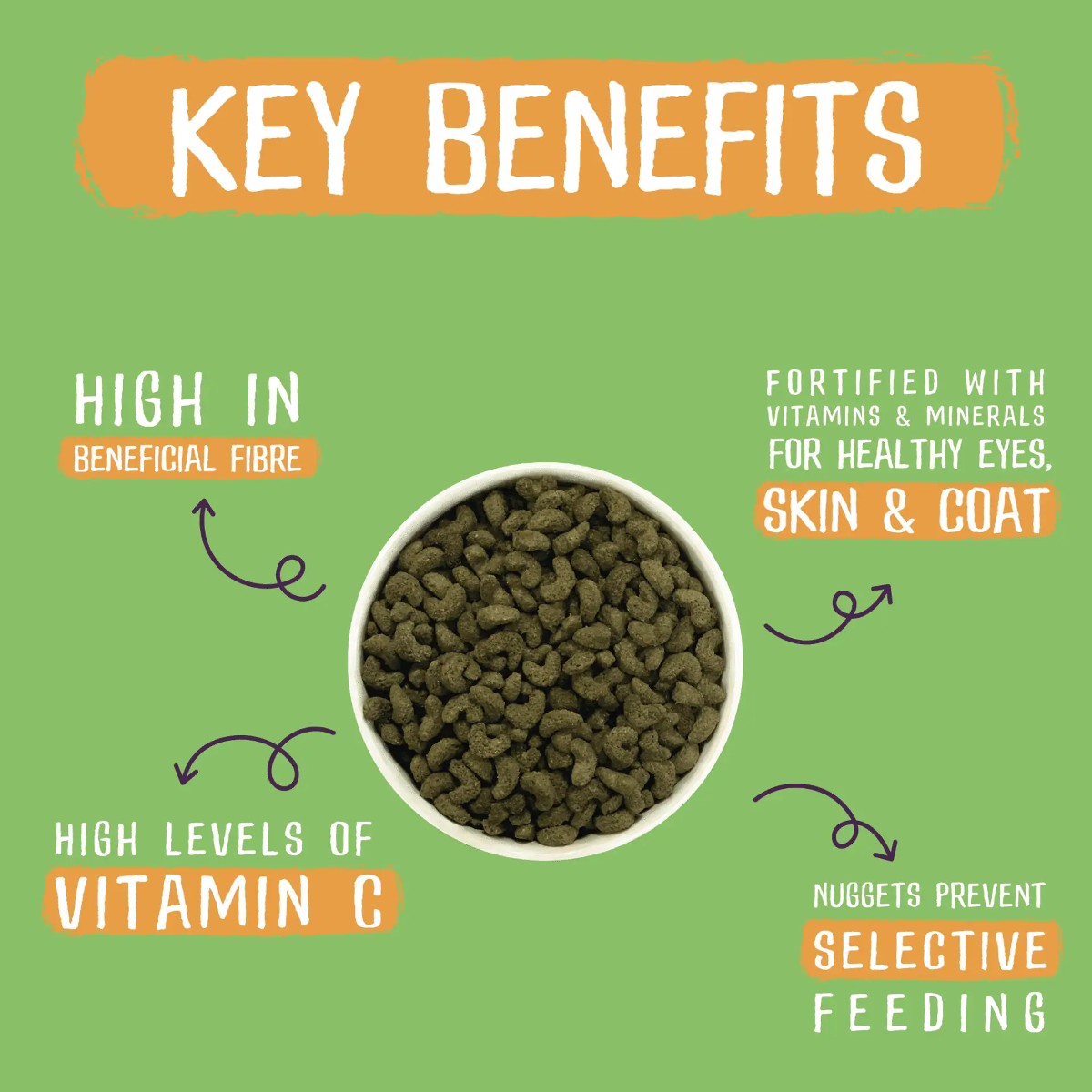 Burgess Excel Guinea Pig Nuggets with Mint Infographic