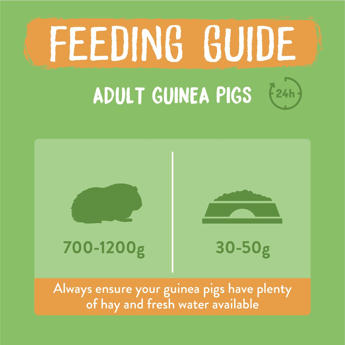 Burgess Excel Guinea Pig Nuggets with Mint Infographic