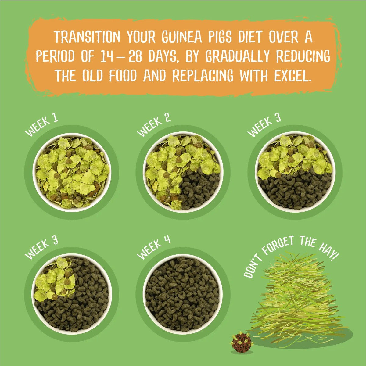 Burgess Excel Guinea Pig Nuggets with Mint Infographic