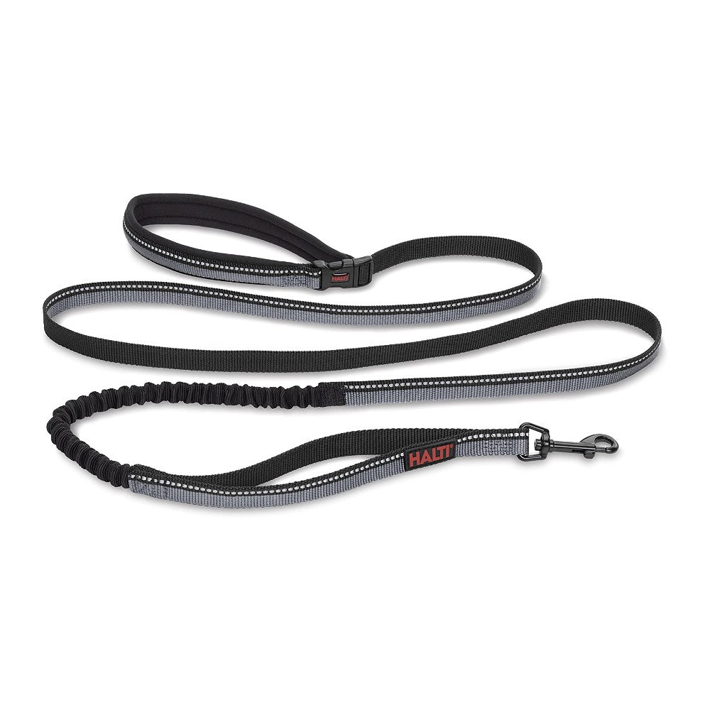 Company of Animals Halti Active Lead - product detail image (black) South Africa shopping