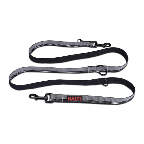 2 handle dog leash best sale