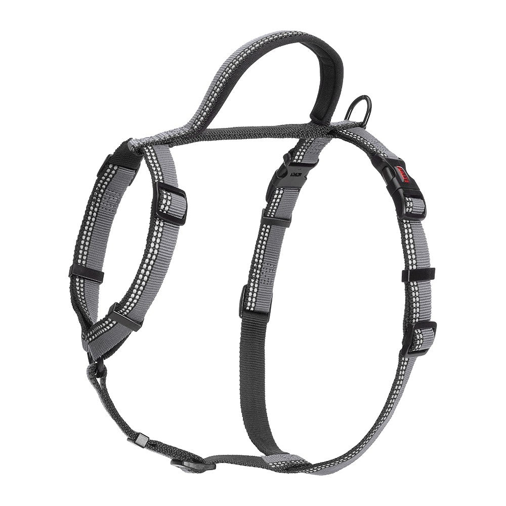 Company of Animals Halti Walking Harness Black