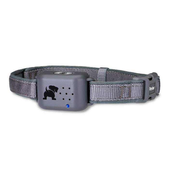 Company of Animals Pavlov Digital No Bark Collar