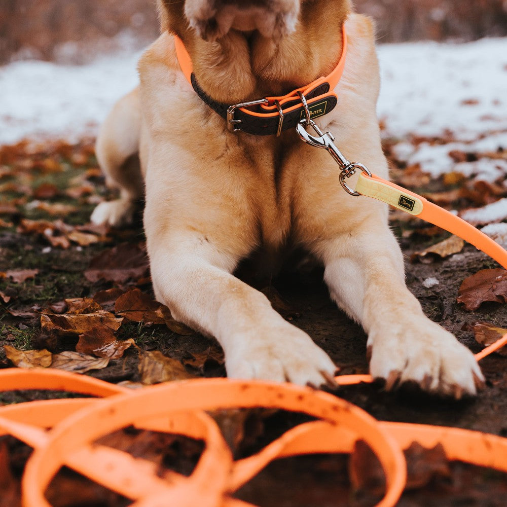 Hunter Convenience Easy-Clean Collar Neon Orange