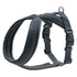 Hunter London Comfort Padded Harness Anthracite