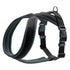 Hunter London Comfort Padded Harness Black