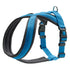 Hunter London Comfort Padded Harness Light Blue