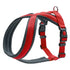 Hunter London Comfort Padded Harness Red