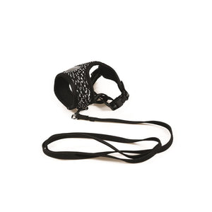 M-Pets Letsgo Cat Harness and Leash Set - Black