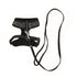 M-Pets Letsgo Cat Harness and Leash Set - Black