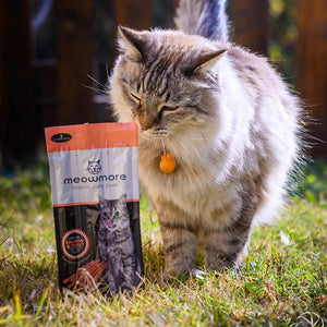 Meow More Cat Treat Sticks - Salmon & Trout