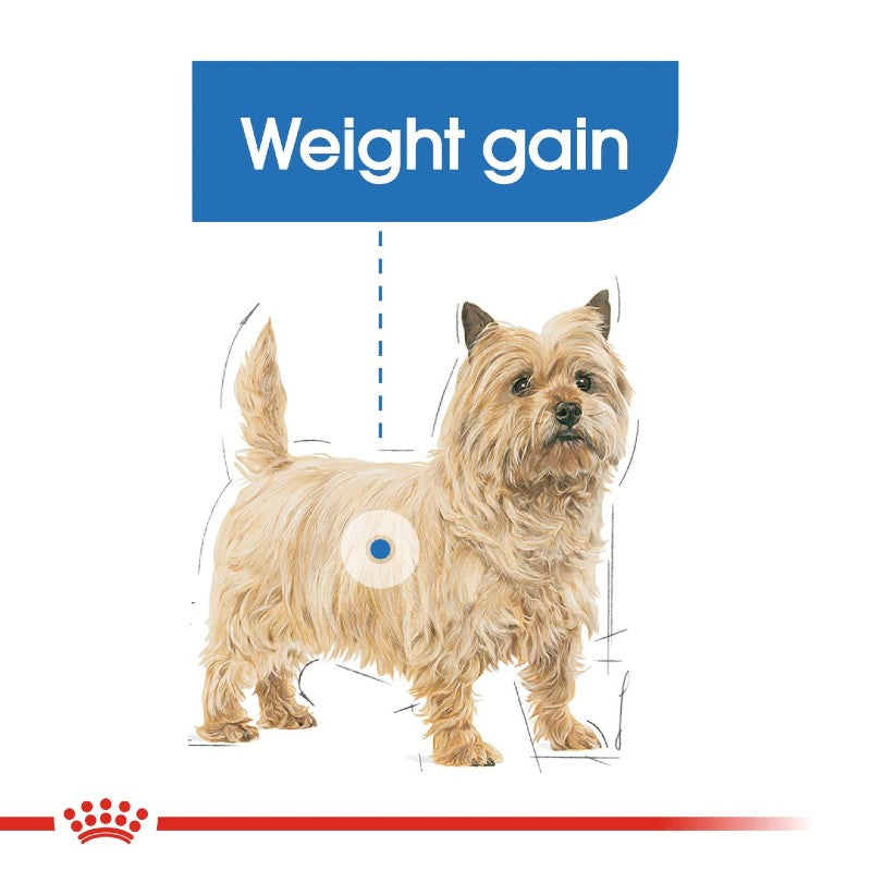 Royal Canin Dog Light Weight Care - Mini Infographic 2