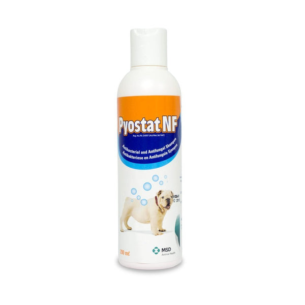 Bacterial shampoo for dogs hotsell