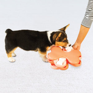 Nina Ottosson Puppy Tornado  Buy Dog Toys Online – Canine & Co
