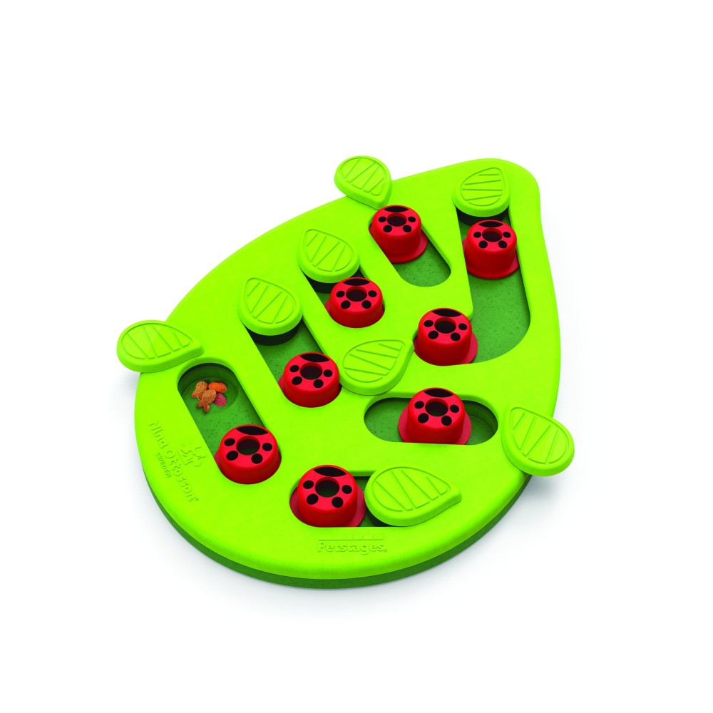 Petstages Green Buggin Out Puzzle & Play Interactive Cat Treat Toy