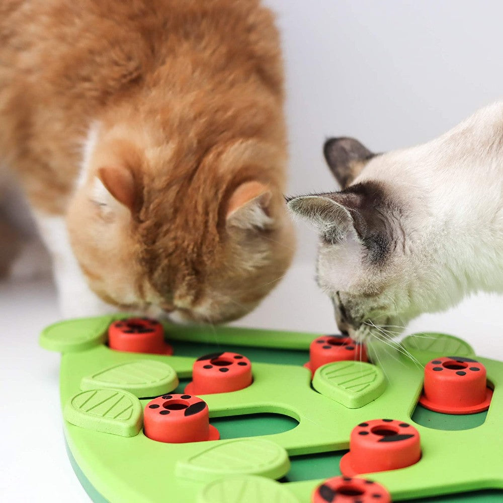 Nina Ottosson Puzzle 'n Play Buggin Out