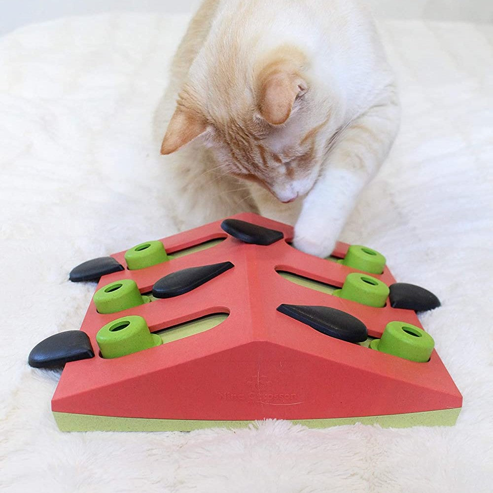 Nina Ottosson Puzzle 'n Play Melon Madness