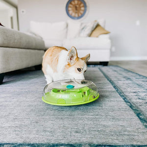 https://canineandco.co.za/cdn/shop/products/buy-nina-ottosson-wobble-bowl-interactive-treat-puzzle-online_8_300x.jpg?v=1616658531